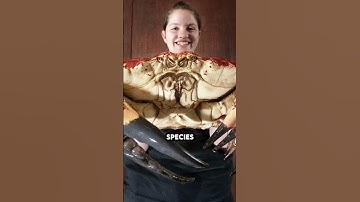 Rare Photos You’ve Never Seen Before (Part 19)