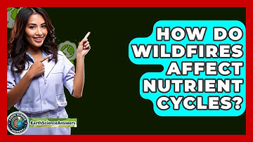 How Do Wildfires Affect Nutrient Cycles? - Earth Science Answers