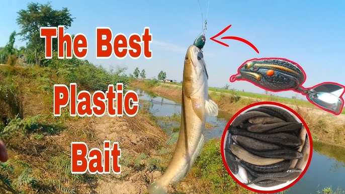 Hunter plastic frog bait is the best 