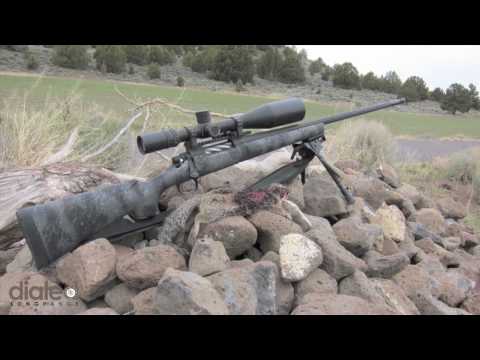 637yd Squirrel - Long Range Shooting