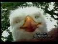 Eagle insurance company commercial 1995