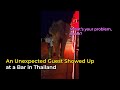 An Unexpected Guest Showed Up at a Bar in Thailand