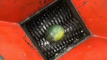 Vegetables vs Shredder Machine and Coconut best satisfying moments #trending #viralvideo #ytviral