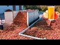 How apple juice is made in factory  modern fruit juice making technology  food factory