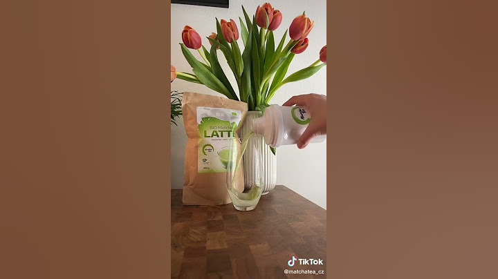 Bio Matcha Tea Latte