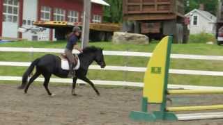 Pixie Sale Pony