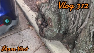 VLOG 312