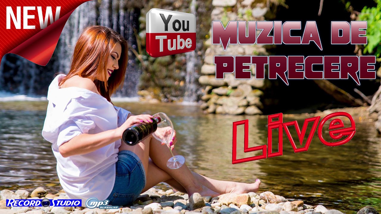 Muzica Petrecere Sta Murgu Legat La Gard Neicuta Daca Te As
