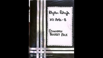 Class 12th economics project on - sustainable development