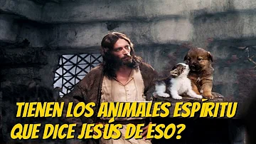 ¿Qué dijo Jesús sobre los animales?