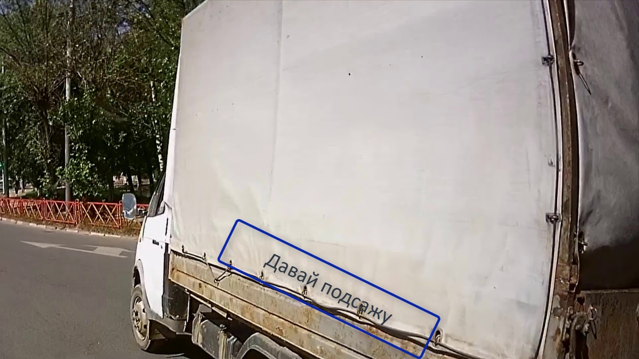 Как бегает газель