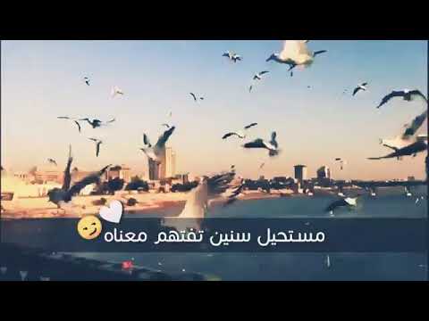 شلون مااحبك مصطفى ابراهيم