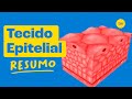 Quiz sobre Tecido Epitelial