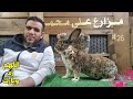 صباحكم بيور من الاسكندرية الارنب عرفني على ناس محترمة في جميع انحاء العالم شكرا لكم جميعا 