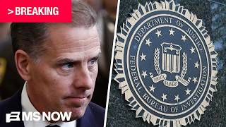 BREAKING: Two ex-FBI agents charged with lying to Congress in relation to Hunter Biden probe