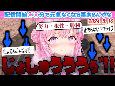 【 岩おじ 】配信開始◯分で元気がなくなってしまったこよちゃん【博衣こより/ホロライブ/切り抜き】