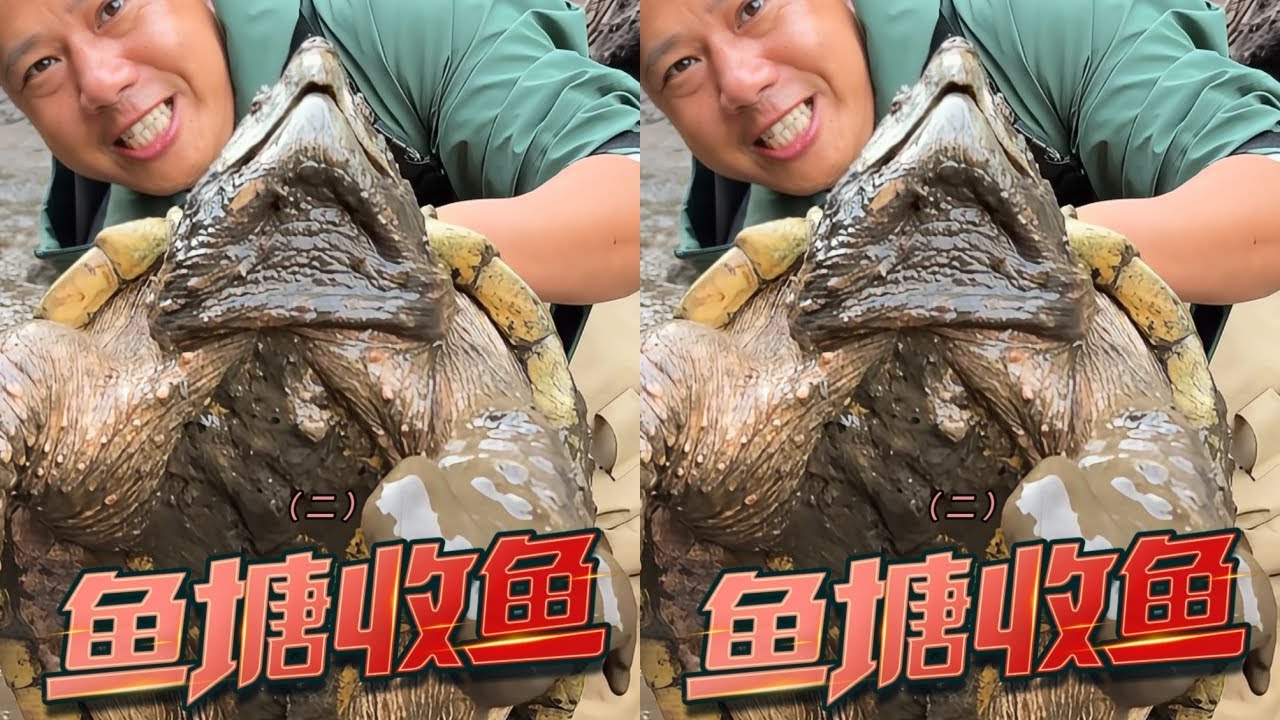 没想到！老板5年前放下去的白龟竟然是它？