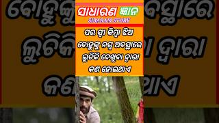 Top 15 GK Question 🤔💥|| ODIA Question ✍️|| GK Question and Answer ! Part-155
