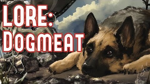 Dogmeat - Fallout Lore