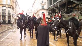 The Blues and Royals.