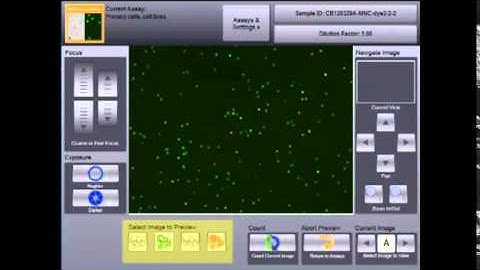 Thermolab : Cellometer Auto 2000 cell analyzer demonstration