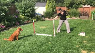 Serps & Threadles: Adding motion (Part 7)