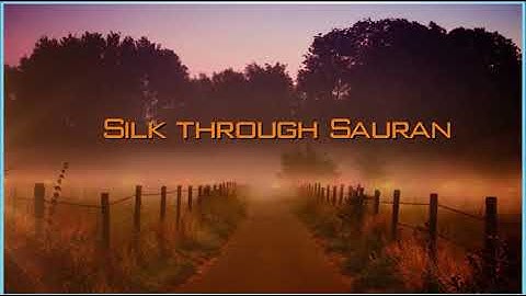 Excel 9. Module 3. Silk Through Sauran