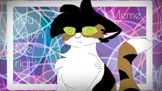 You Spin Me Right Round Meme Ft. My Cat