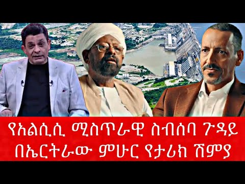 የአልሲሲ ሚስጥራዊ ስብሰባ ጉዳይ በኤርትራው ምሁር የታሪክ ሽምያ 