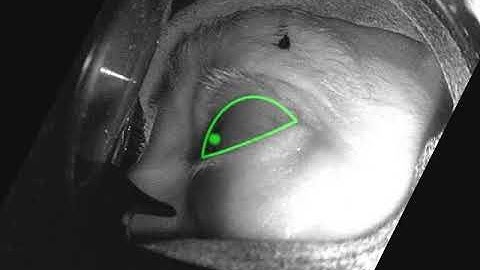 Cubic Motion eye tracking, using a micro-camera inside the HTC Vive.