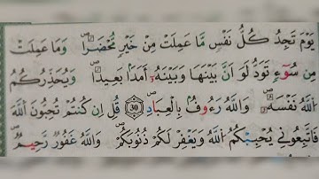 سورة آل عمران الآية ٣٠-٣١(30-31)