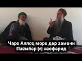 ЧАРО МО ДАР ЗАМОНИ ПАЁМБАР (С) ТАВАЛУД НАШУДЕМ ЭШОНИ СИРОЧИДДИН