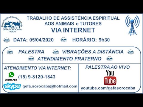 Assista: Trabalho de Assistência Espiritual aos Animais ONLINE - c/ WILSON RODRIGUES JR (05/04/2020)