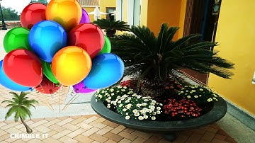 How to Enable Automatic Login in Mac OS X