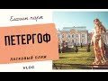 ЕЛАГИН ПАРК I Петергоф I ЛАСКОВЫЙ ПЛЯЖ VLOG