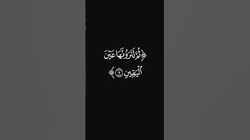 (ثم لتُسألن يومئذ عن النعيم) #سورة_التكاثر #القارئ_عبدالرحمن_ريس #ليدبروا_آياته #قرآن #النار #آيات
