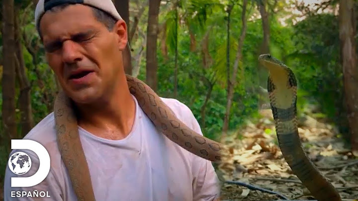 Al encuentro con las serpientes más letales de Asia | Wild Frank en India | Discovery en Español