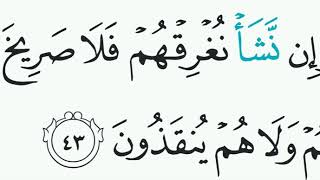 Surat Yasin ayat 43x