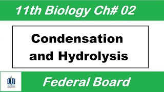 Condensation and Hydrolysis Ch.2 || class 11 biology fbise || Ilmi Stars Academy