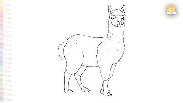 Llama drawings easy 01 | Animal drawing tutorial | How to draw A Llama step by step | #artjanag