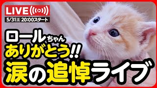 🔴【5月31日(土) 20時スタート】ロールちゃん ありがとう 涙の追悼ライブ