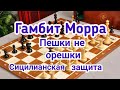 Гамбит Морра.  Сицилианская защита. Пешки не орешки !