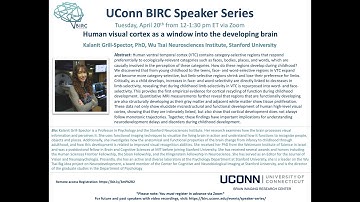 Human visual cortex as a window into the developing brain, Kalanit Grill-Spector, PhD, Stanford
