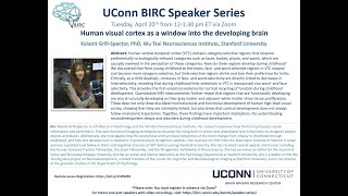 Celebrity Human visual cortex as a window into the developing brain, Kalanit Grill-Spector, PhD, Stanford Net Worth