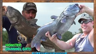 CHICKEN LIVERS & BOBBERS = BIG CATFISH