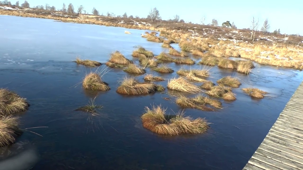 Brackvenn -Hiver -Neige -Soleil