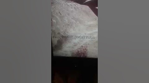 NY PaXiiL and Surthix dispute 2nd map on Hardhat