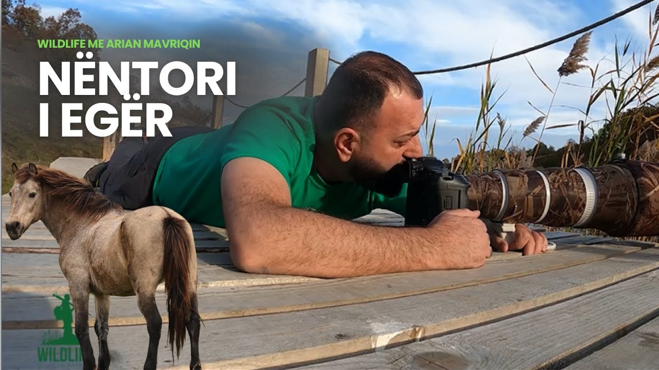 Nëntori me plot befasi në jetën e egër | Wildlife me Arian Mavriqin | 07.11.2025