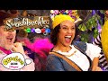 Swashbuckle Song | Theme Song | Pirate Buccaneer Cheer | CBeebies