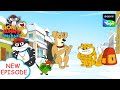    hunny bunny jholmaal cartoons for kids hindi      sony yay